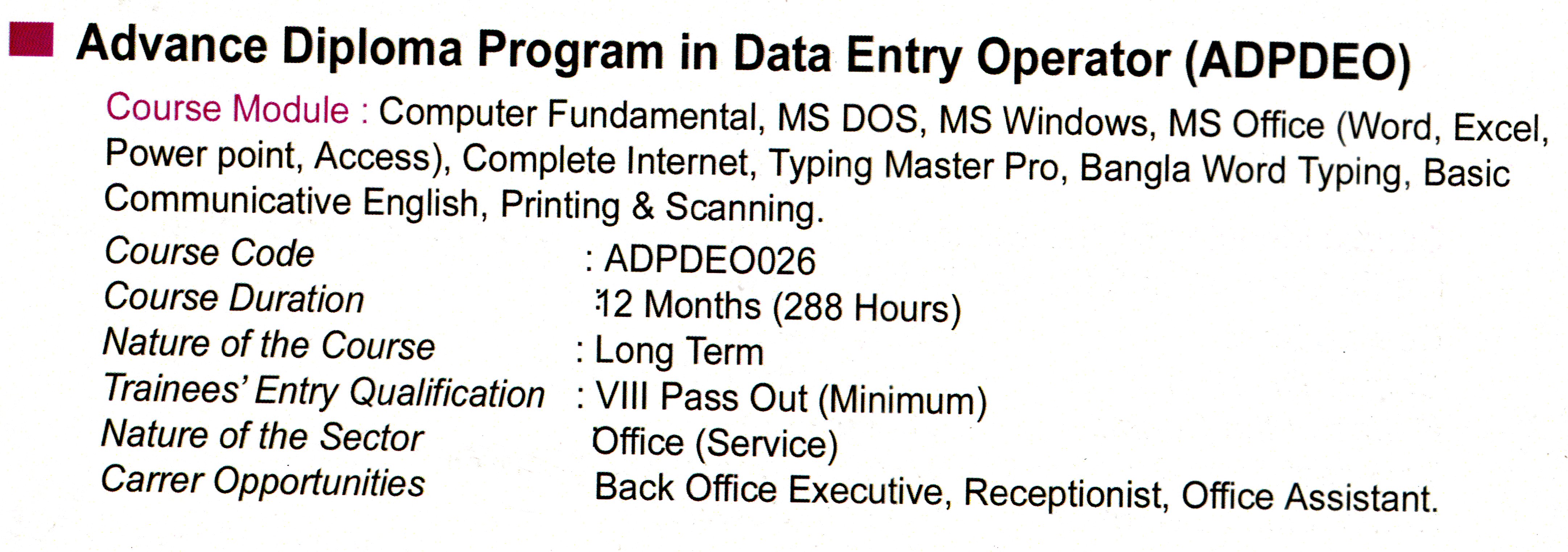 Advance Diploma Program in Data Entry Operator (ADPDEO)